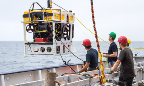 MARUM ROV SQUID during deployment.