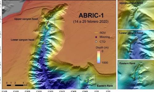 Bathymetric map of Blanes Canyon and detailed morphologies of the three study areas with the originally planned survey lines (yellow lines). 