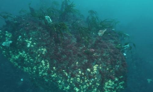 Small Rock formation at Dún Aonghasa survey site. 