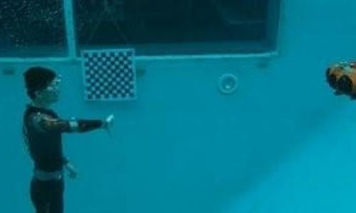 diver gesture recognition 