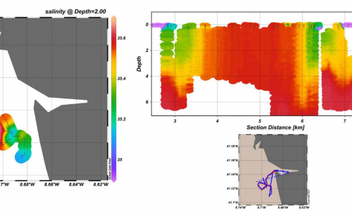 the satellite Sentinel-2 picture (Fig 3-Left) obtained near for the same time and the numerical model of the area (Fig – Right) shows the same behaviour of the plume detected flowing from the North to the South. 